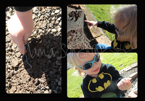 Sunny Day Bug Hunting2