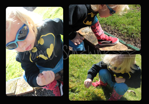 Sunny Day Bug Hunting 