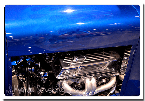 Photo Challenge: Color-Blue