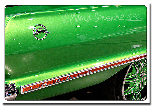 Photo Challenge: Color-Green