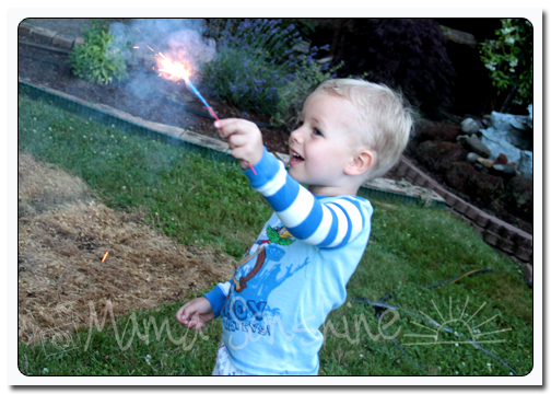 Ian's first time with sparklers