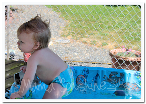 Baby Sid has figured out he can crawl out of the pool