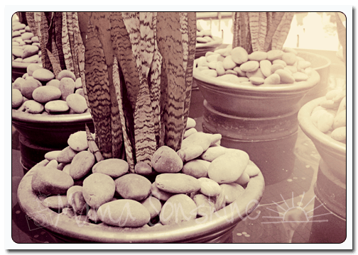 WW_04sep2013_fountain