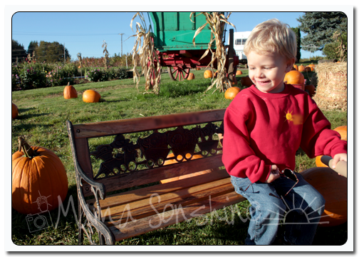 MPM21Oct2013_Pumpkin