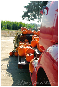 PC_infinite2_16Oct2013