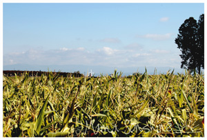 PC_infinite_16Oct2013