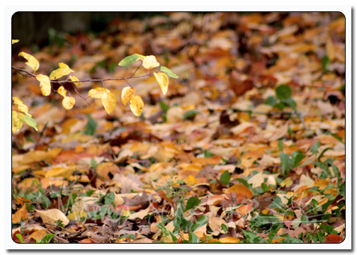 DPC_18Nov2013_layers