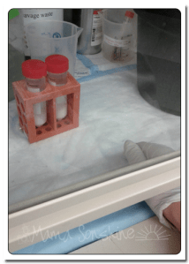 Thanks_week3_hoodpng