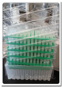 Thanks_week3_pippetts