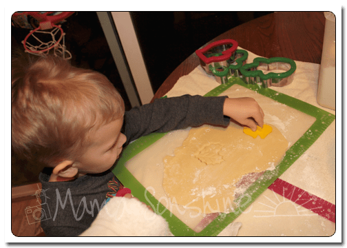 12DaysofXmas2013_cookies08