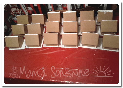 all the little houses