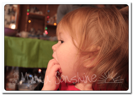 12DaysofXmas2013_house06