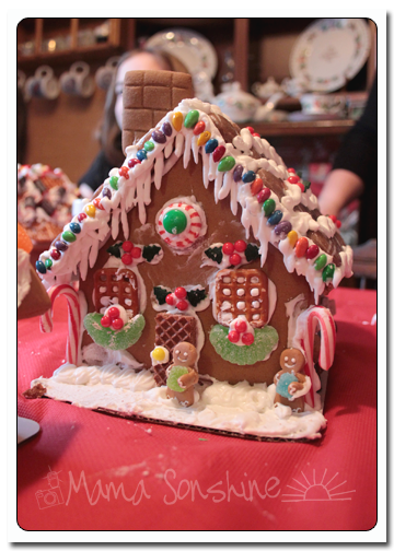 12DaysofXmas2013_house08