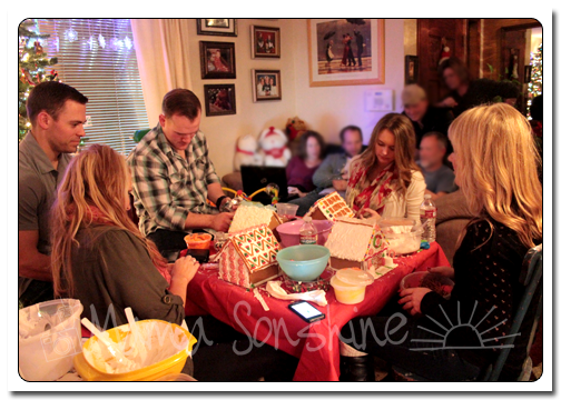 12DaysofXmas2013_house09