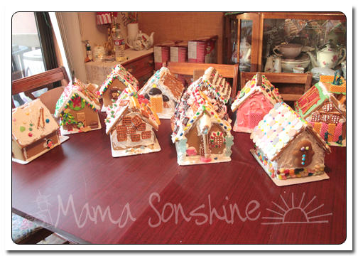 12DaysofXmas2013_house10