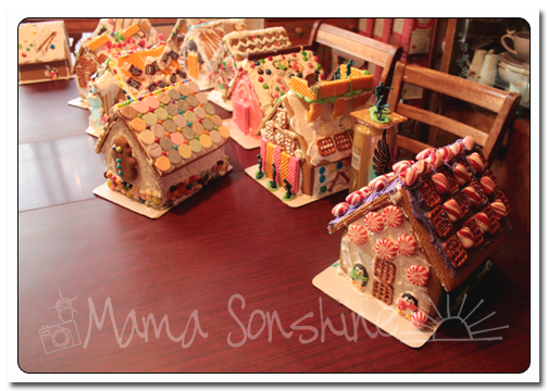 12DaysofXmas2013_house11