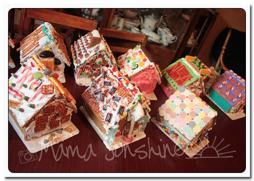 12DaysofXmas2013_house12