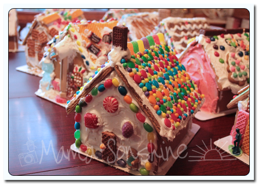 12DaysofXmas2013_house13