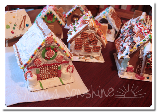 12DaysofXmas2013_house14