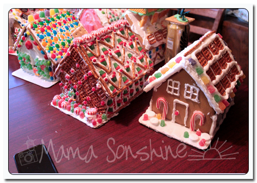 12DaysofXmas2013_house15