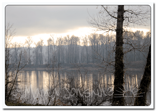 12DaysofXmas2013_train04