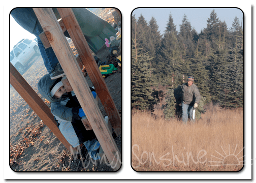 12DaysofXmas2013_tree04