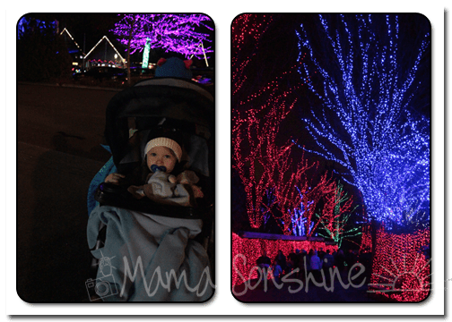 12DaysofXmas2013_Zoo02