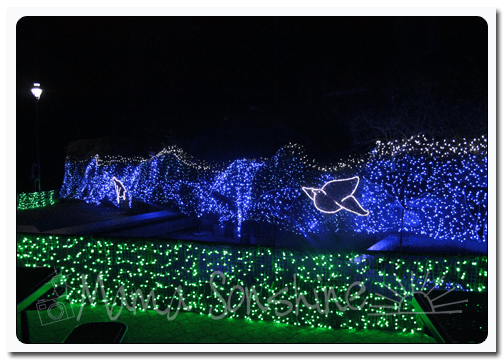 12DaysofXmas2013_Zoo03