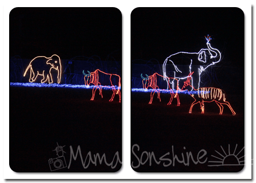 12DaysofXmas2013_Zoo04