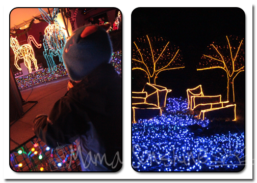 12DaysofXmas2013_Zoo05