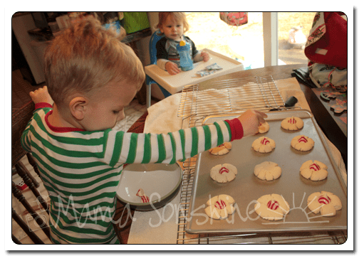 MS_CandayCaneShortbreadBlossoms_03