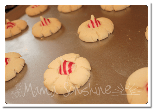 MS_CandayCaneShortbreadBlossoms_04