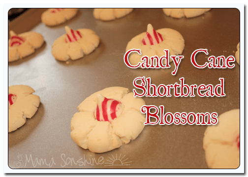 MS_CandayCaneShortbreadBlossoms_05