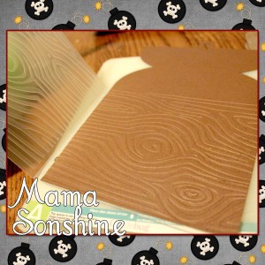 MSS_MarchSilChallenge06_2014