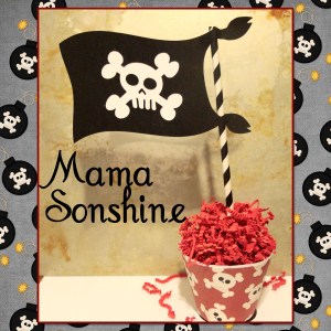 MSS_MarchSilChallenge_2014 copy