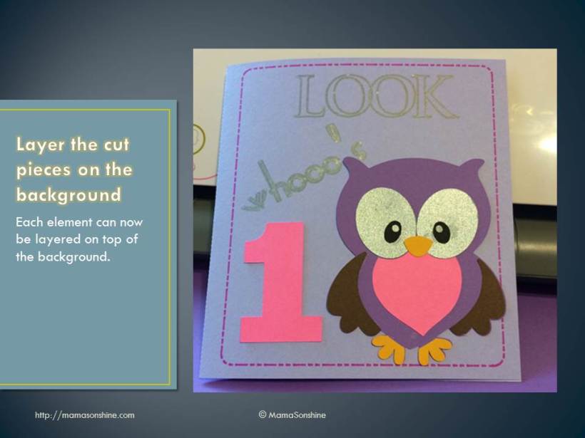 MSS_SilhouetteTraceing_Slide30