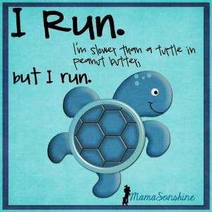 MSS_RunTurtle 