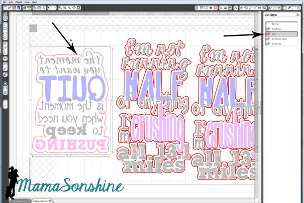 MSS_Tattoo cut lines and mirror