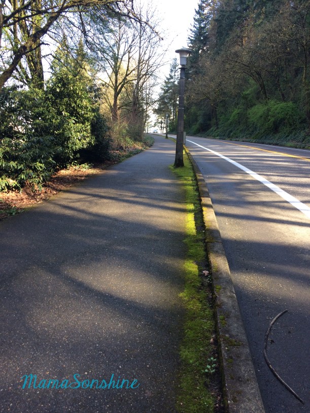 Here is the start of the big hill during a training run