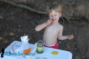 My boys love pickles 