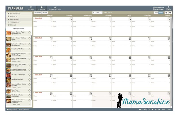The planning calendar
