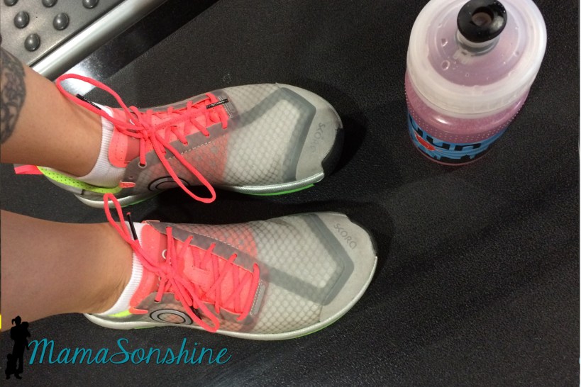 MSS_RunningLog2015Dec3a